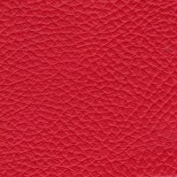 /album/fotogalerie-florida/florida-534-1-jpg/